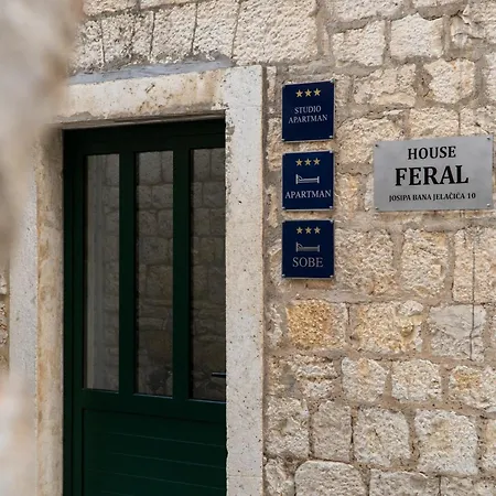 Apartment House Feral *